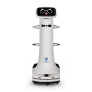 Serviceroboter-T8
